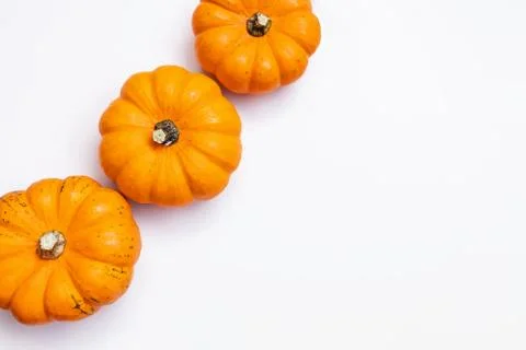 Small decorative pumpkins on white background Stock Photos