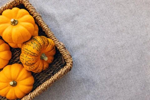 Small decorative pumpkins in wicker basket Stock Photos