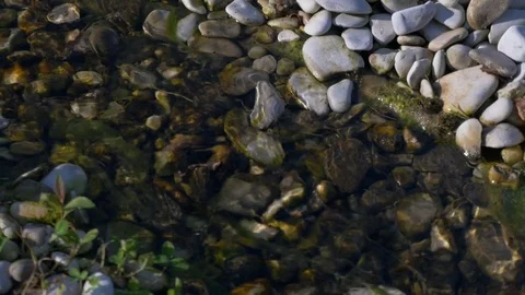 A small decorative stream with clear water. Video stock 80566958