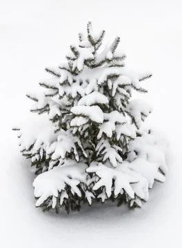 Small decorative tree in the snow Stock Photos