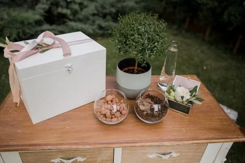 Small decorative tree on the table Stock Photos