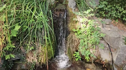 A small decorative waterfall in a zen garden flows over mossy stones. Stock Footage 317578788