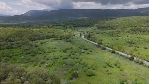 Small Deer Herd on Green Deer Farm Meadow near Karytaina, Greece Stock Footage 337037584