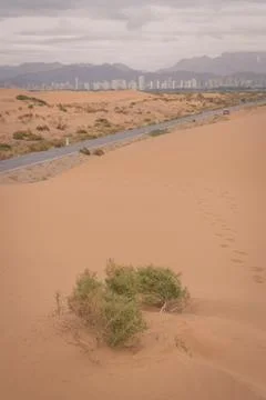 The small desert tree at the foreground, highway and the city of Wuhai, China Stock Photos