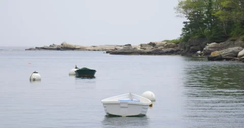 Small Dinghies Floating in Calm Rocky Maine Cove Stock Footage 338407591