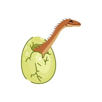 Small dinosaur in egg shell, dino isolated animal イラスト素材
