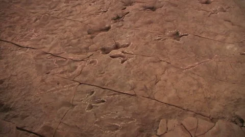 Small dinosaur tracks are found running across a mud flat 스톡 동영상 56224644