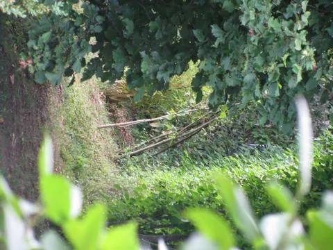 Small dirt path Stock Photos