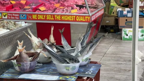 A small display of fish in a shop in West Croydon, UK, 4K Stockbeeldmateriaal 171409085