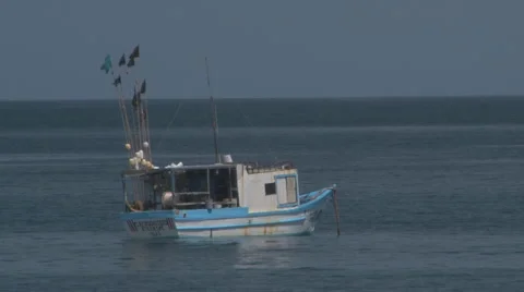 Small dive boat at anchor Video stock 997642