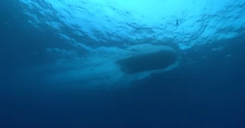 Small dive boat passing overhead in bluewater, underwater, 4K UltraHD, UP41421 Stock Footage 82587329