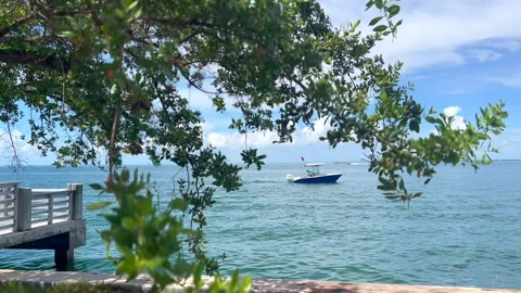 Small diving boat in Miami Stock Footage 204942372