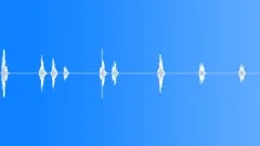 Small Dog Barking 2Sound Effect