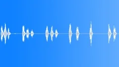 Small Dog Barking 3Sound Effect