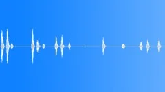 Small Dog Barking 4Sound Effect