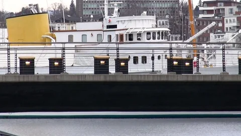 Small dog crosses the bridge Stockbeeldmateriaal 76230773