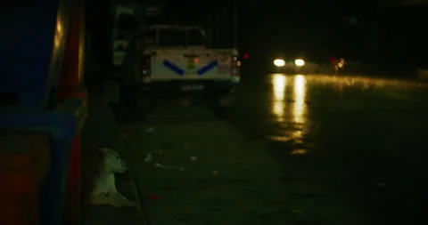 A Small Dog During a Rain Storm In The Cameron Highlands, Malaysia Stock Footage 151118572