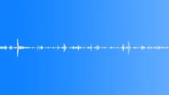 Small dog eating Sound Effect