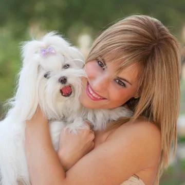 Small dog with owner Stock Photos