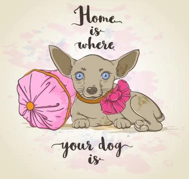 Small dog on a pillow Stock Illustration
