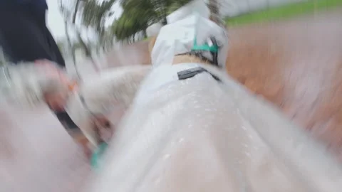 Small dogs on leashes along a wet brick sidewalk. 動画素材 337663873