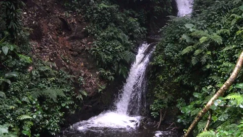Small Double Waterfall In Jungle Forest [Slow Motion] Stock Footage 88961090