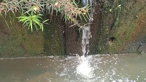 Small Drainage Channel Flows into Mossy Concrete Ditch Stock Footage 304963509