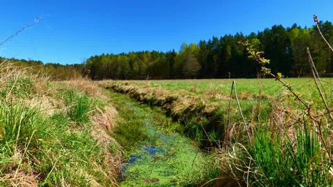 Small Drainage Ditch Flowing Through Meadow Stock-Footage 333573101