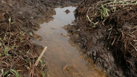 Small drainage ditch in peat bogs with stream of water Stock Footage 159267793