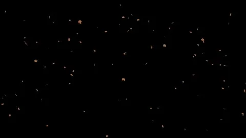 Small dried falling leaves isolated with an alpha channel Stock Footage 255659953