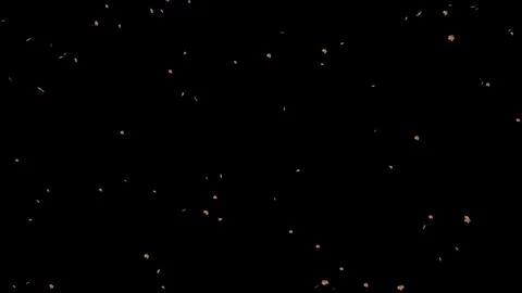 Small Dried falling leaves Loop isolated with an alpha channel Stock Footage 255660004