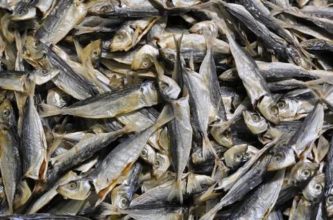 Small Dried Fish Stock-Fotos