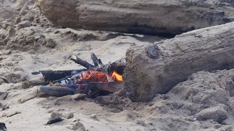 Small Drift Wood Fire Around Logs On Sandy Beach Stock Footage 344910967