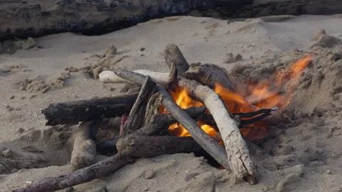 Small Drift Wood Fire Flames In Strong Wind  Stock Footage 344911509