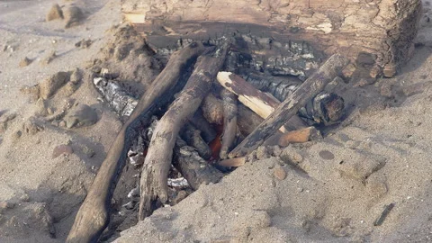 Small Drift Wood Fire On Sandy Beach Stock Footage 344910134