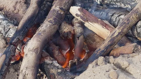 Small Drift Wood Fire On Sandy Beach  Stock Footage 344910946