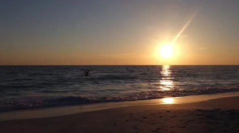 Small drone flying with birds at sunset on the beach Video stock 56947959