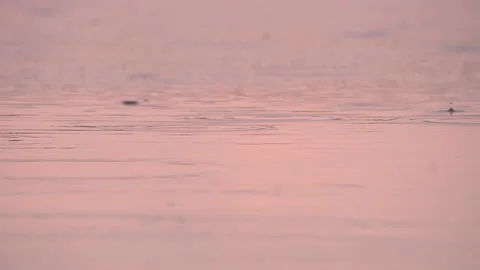 Small drops of rain slowly fall down against the background of a colorful sunset Video stock 165842523