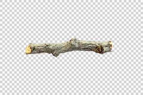 Small dry branches isolated on white background.Selection focus. Stock Photos
