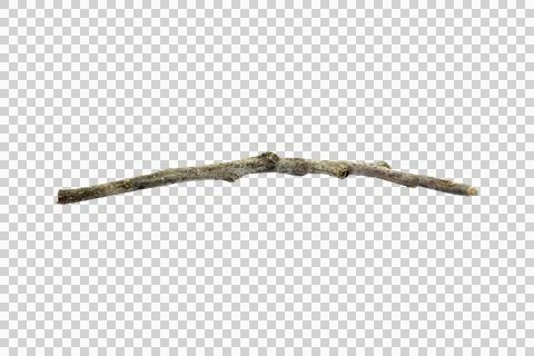 Small dry branches isolated on white background.Selection focus. Stock Photos