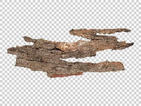 Small dry branches isolated on white background.Selection focus. Stock Photos