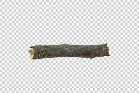 Small dry branches isolated on white background.Selection focus. Stock Photos