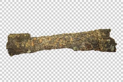 Small dry branches isolated on white background.Selection focus. Stock Photos