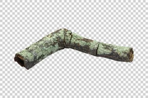 Small dry branches isolated on white background.Selection focus. Stock Photos