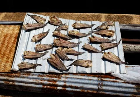 Small dry fish Stock Photos