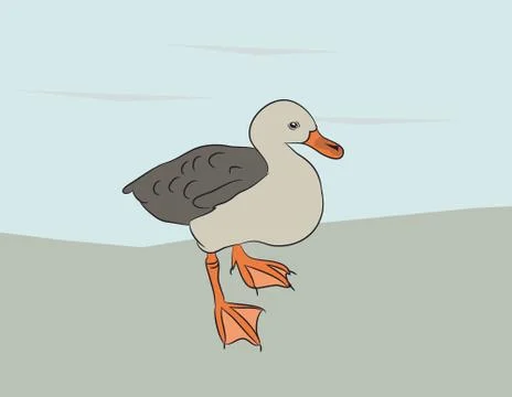 Small duck is on nature vector Stock Illustration