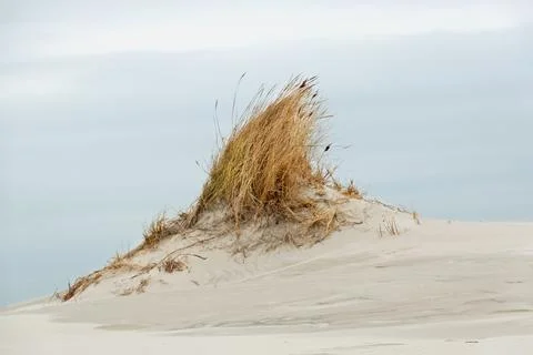 Small dune on windy beach Stock Photos