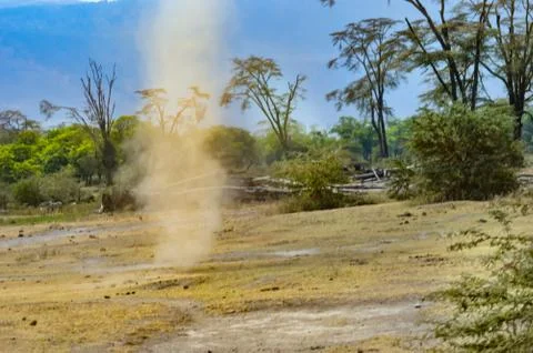 Small dust swirl Stock Photos