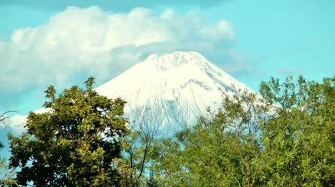 Small earthquake on Kamchatka, trees shake and low clouds creep Stock Footage 10606069