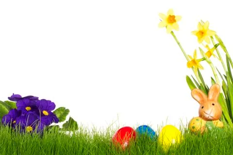 Small easter bunny with easter eggs daffodil and primula Stock Photos